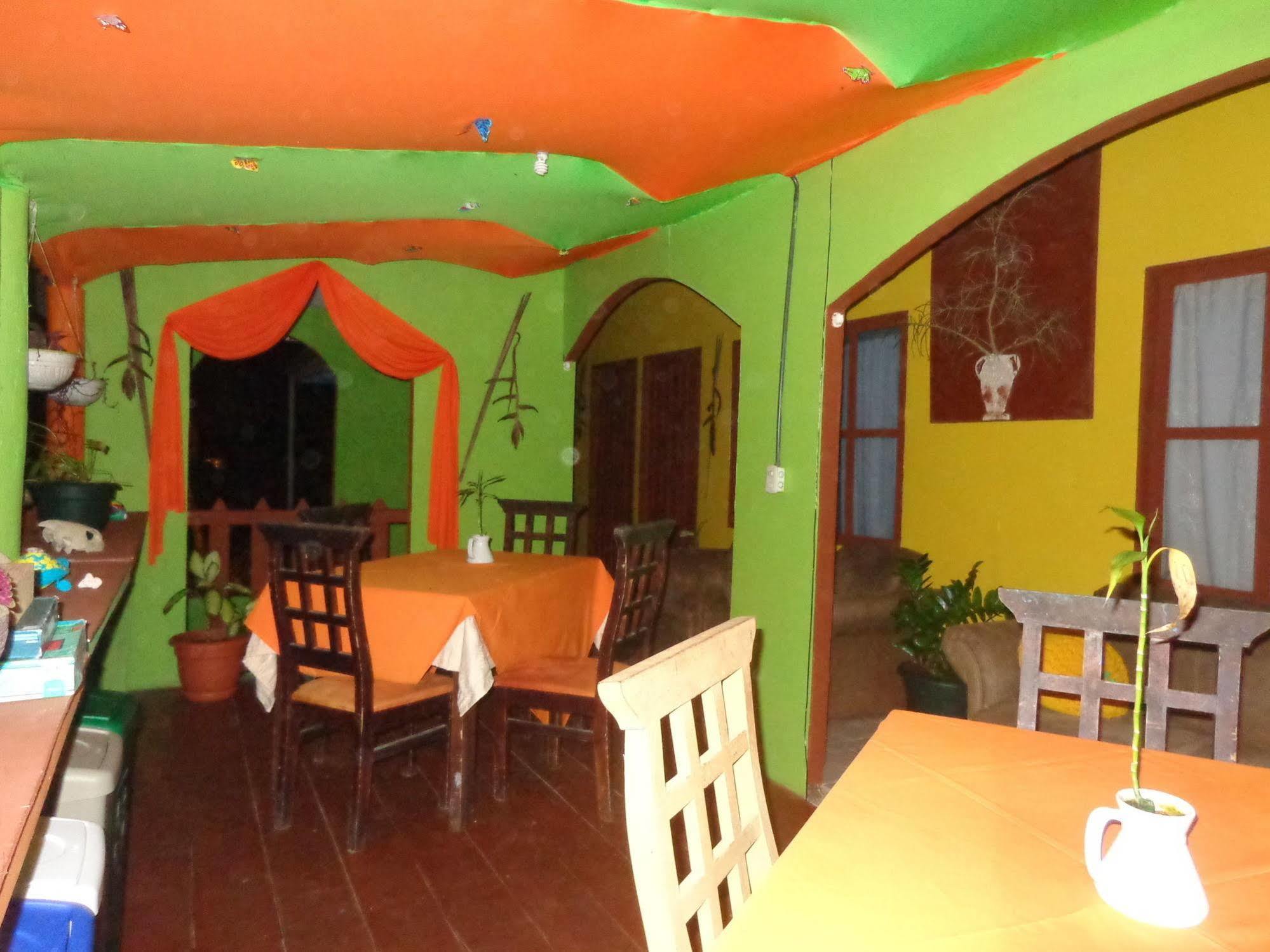 Cabinas Tortuguero Natural Hostel ภายนอก รูปภาพ